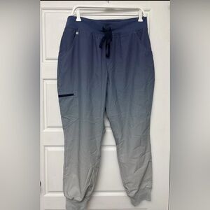 FIGS Scrub Pants Blue Ombre Technical Collection Cargo Women’s Large Petite